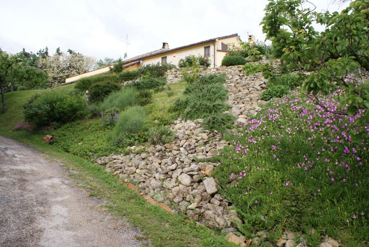 B&B Salvarosa Fano Dış mekan fotoğraf