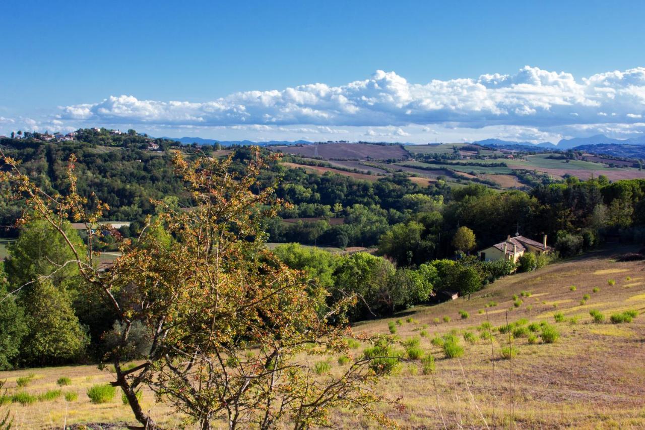 B&B Salvarosa Fano Dış mekan fotoğraf
